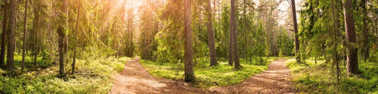 Breadcrumb Navigation Best Practices